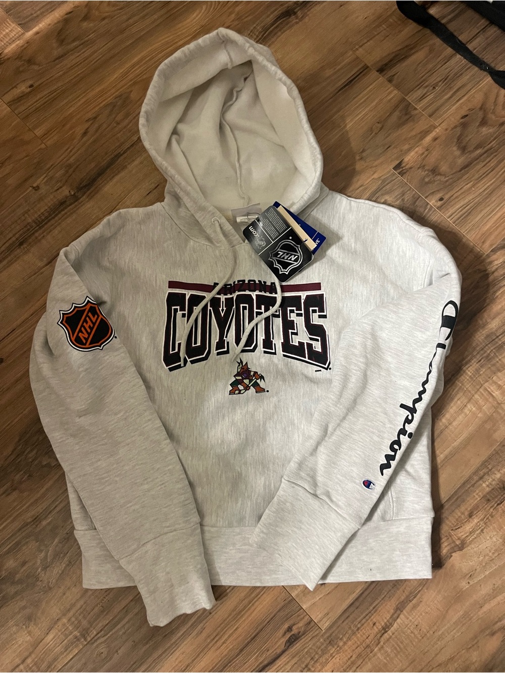 Women’s Champion Arizona Coyotes Hoodie